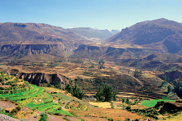 Photos of Arequipa Peru