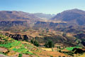 Colca Canyon. Arequipa Peru