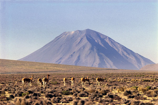 Arequipa