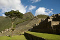 Machu Picchu. Cusco Peru