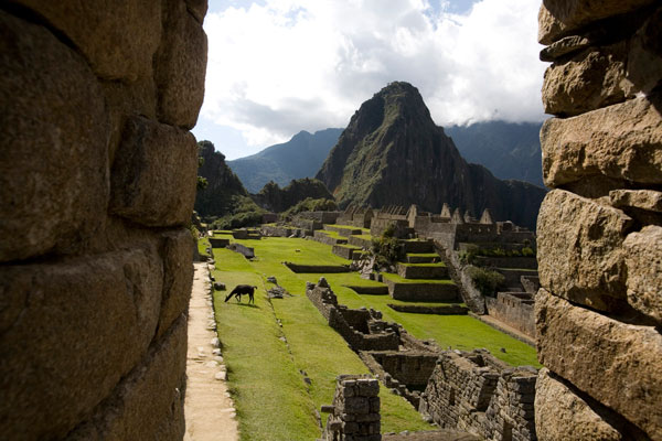 Cusco Tour