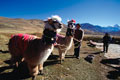 Pumapampa in Callejon de Huaylas Pictures. Ancash Peru