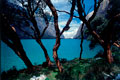 Laguna LLanganuco Pictures. Ancash Peru