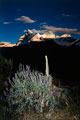 Snow Huandoy Pictures. Ancash Peru