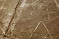 Spider Nasca Lines.Ica Peru