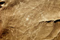 Star Nasca Lines.Ica Peru