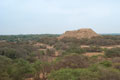 Pomac Forest. Lambayeque Peru