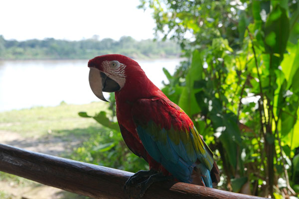 Loreto Peru